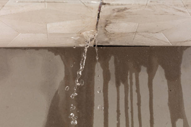 Professional Structural Drying technician working in Newton Center, MA